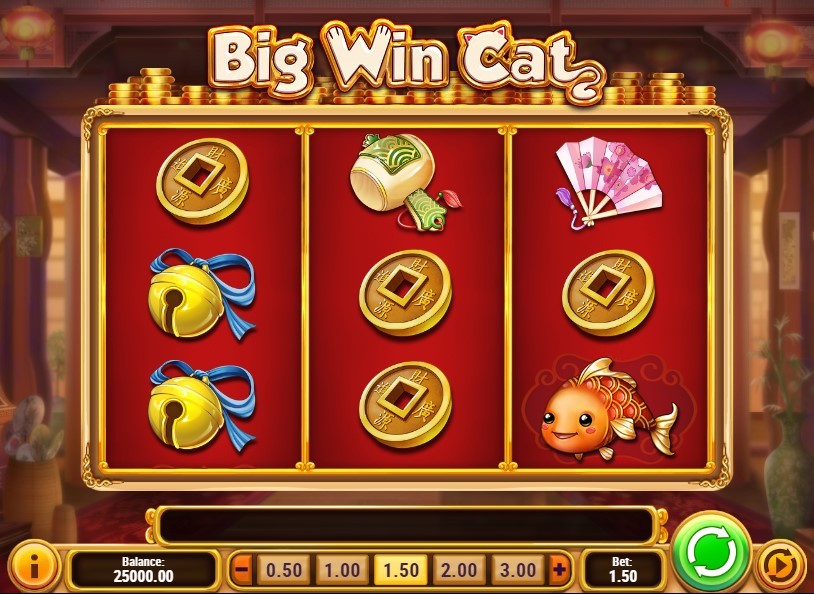 Big Win Cat