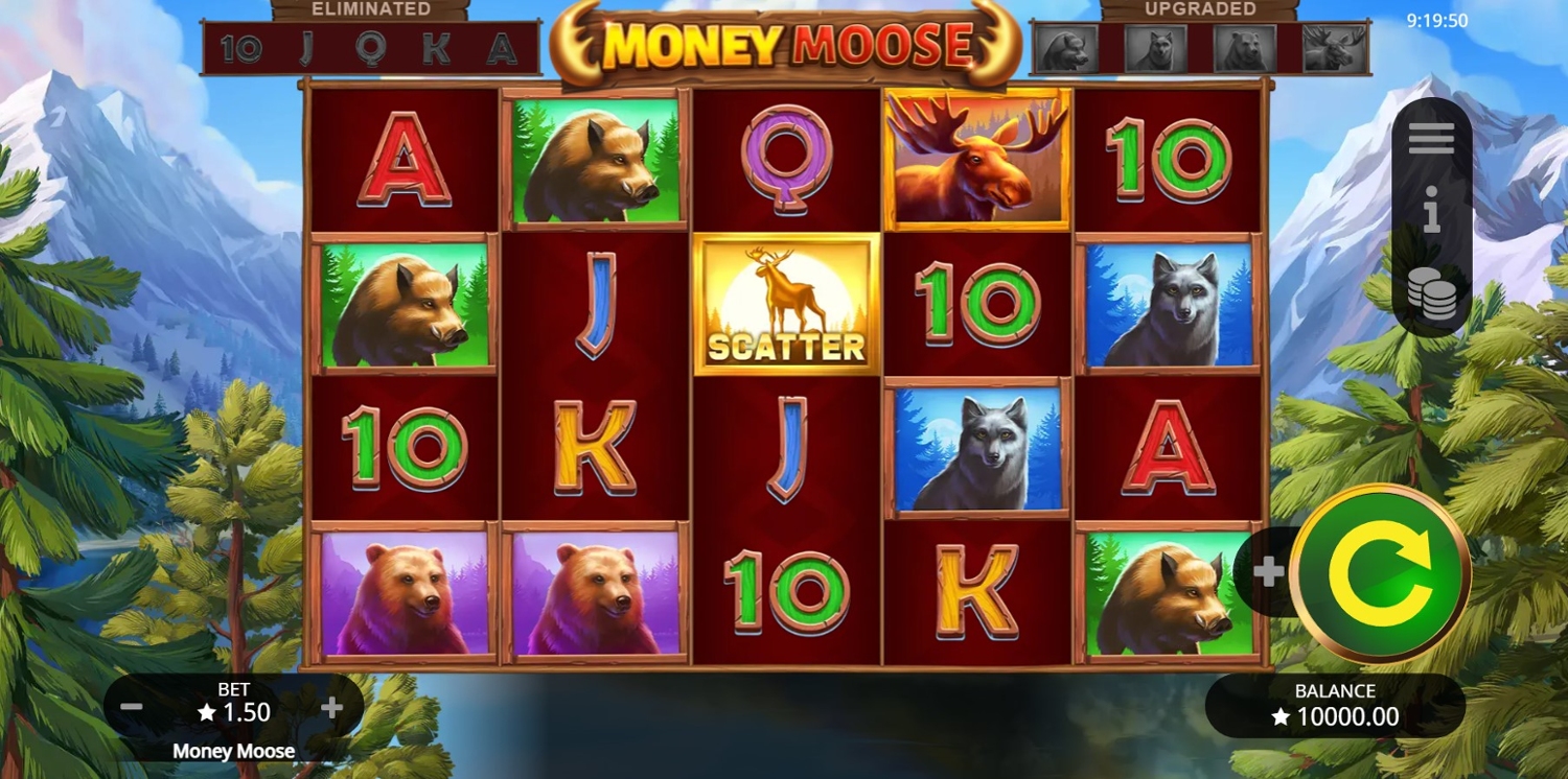 Money Moose