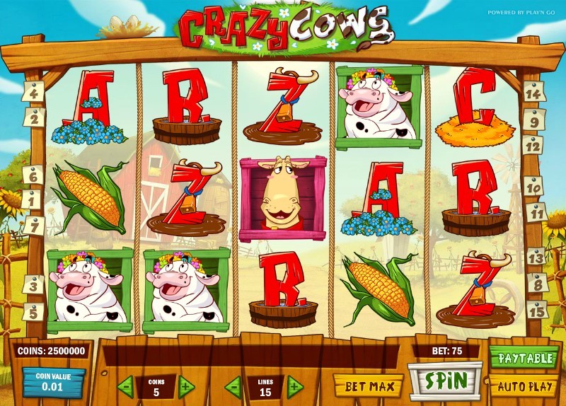 Crazy Cows