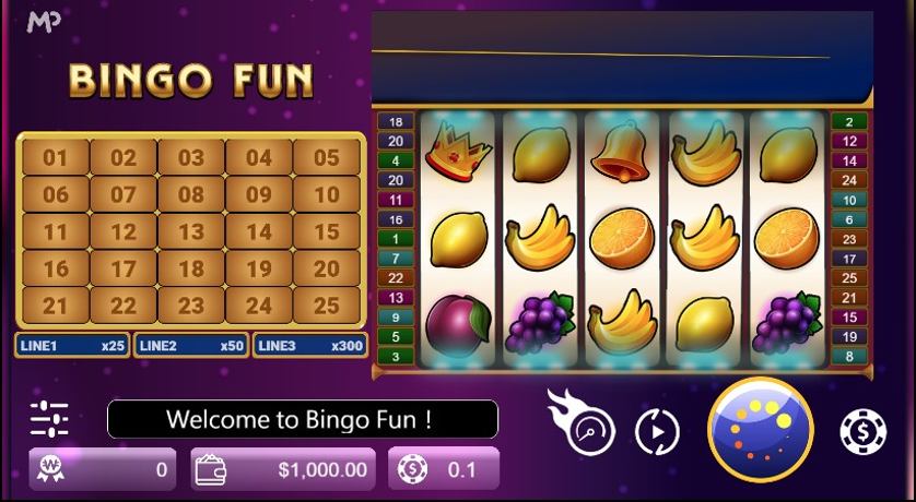 Bingo Fun