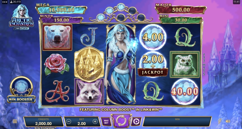 Arctic Enchantress