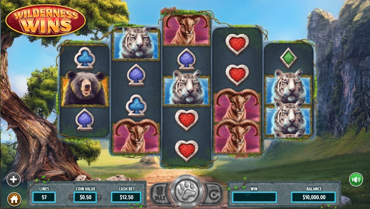 Wilderness Wins