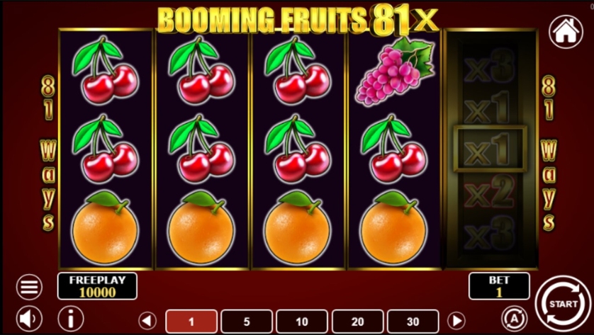 Booming Fruits 81x