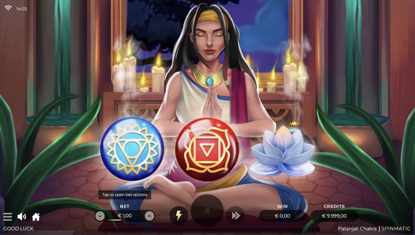 Patanjali Chakra