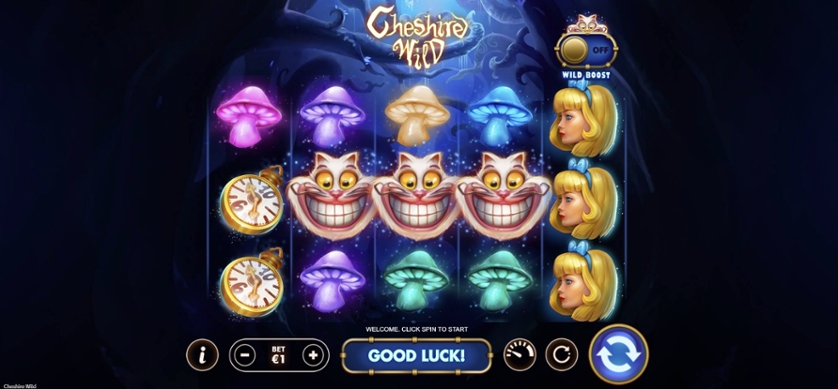 Cheshire Wild