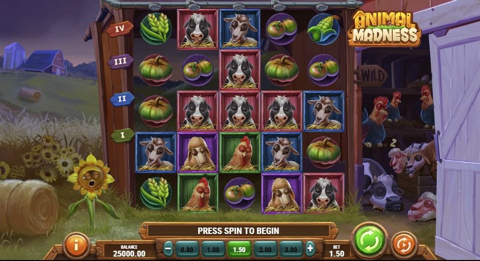 Animal Madness