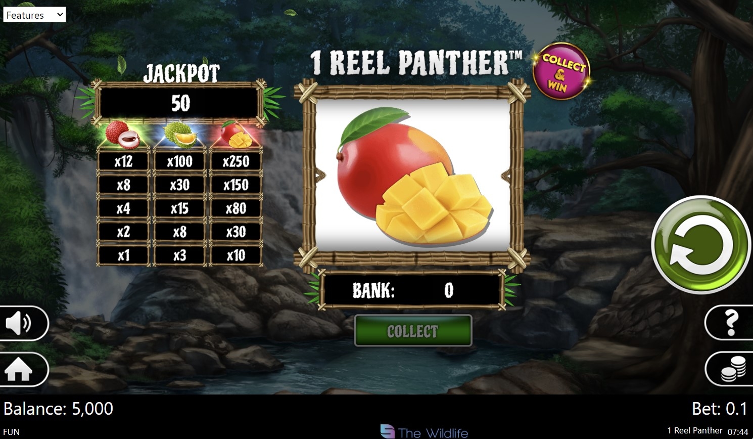 1 Reel Panther