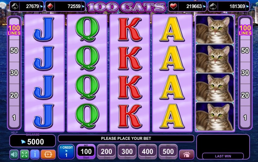 100 Cats