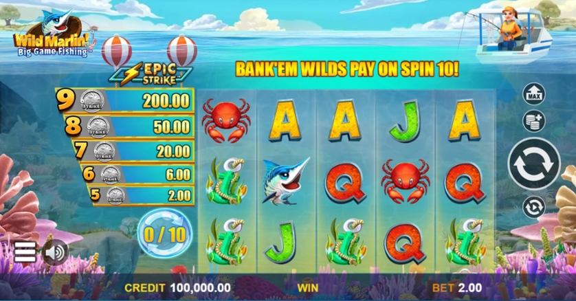 Wild Marlin Big Game Fishing
