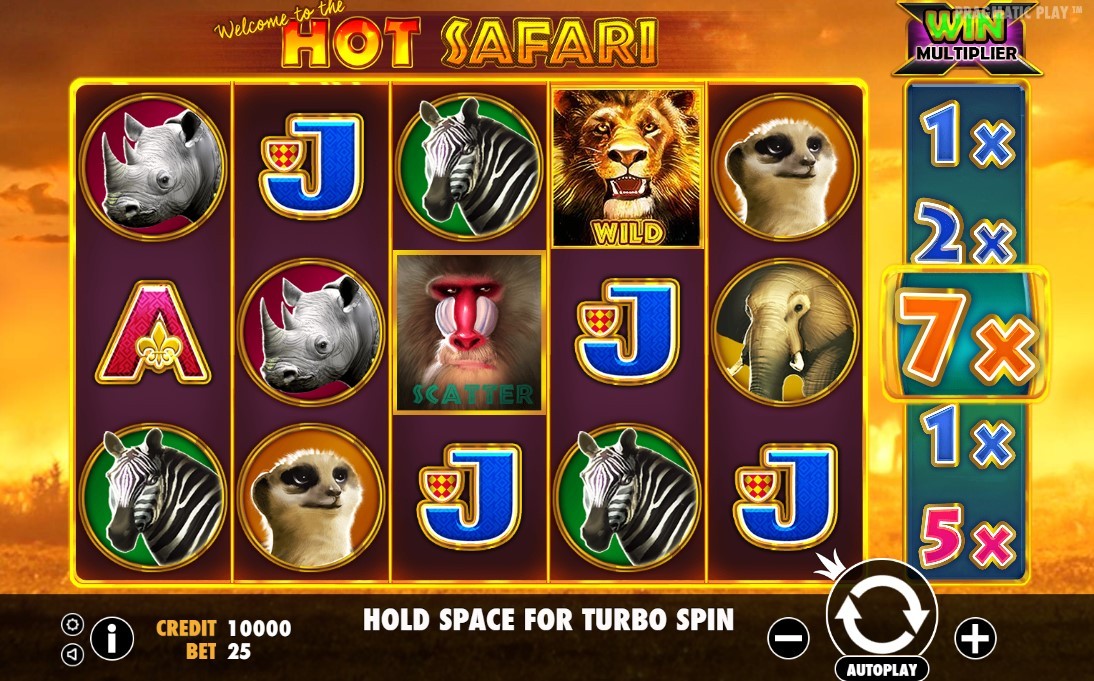 Hot Safari