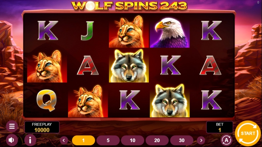 Wolf Spins 243