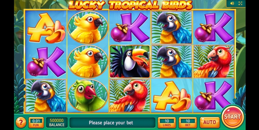 Lucky Tropical Birds