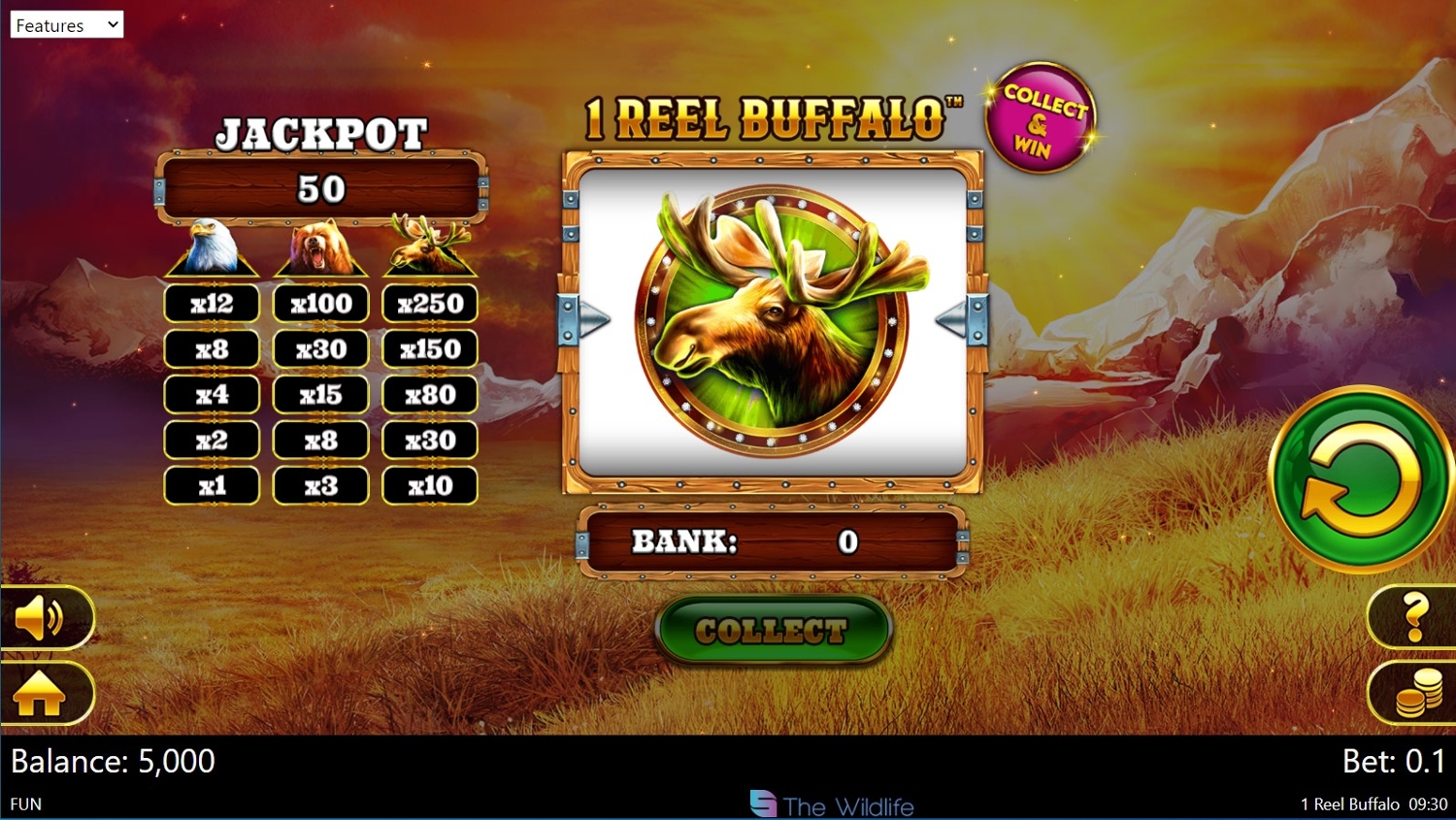 1 Reel Buffalo