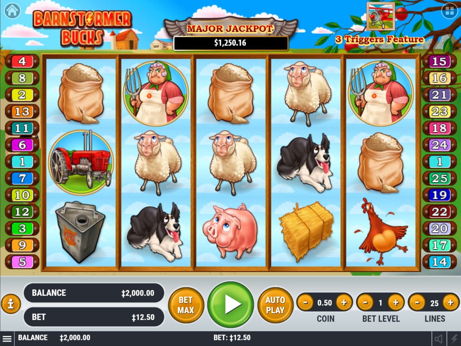 Barnstormer Bucks