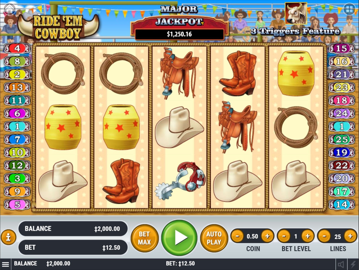 Ride 'em Cowboy