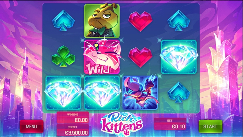 Rich Kittens