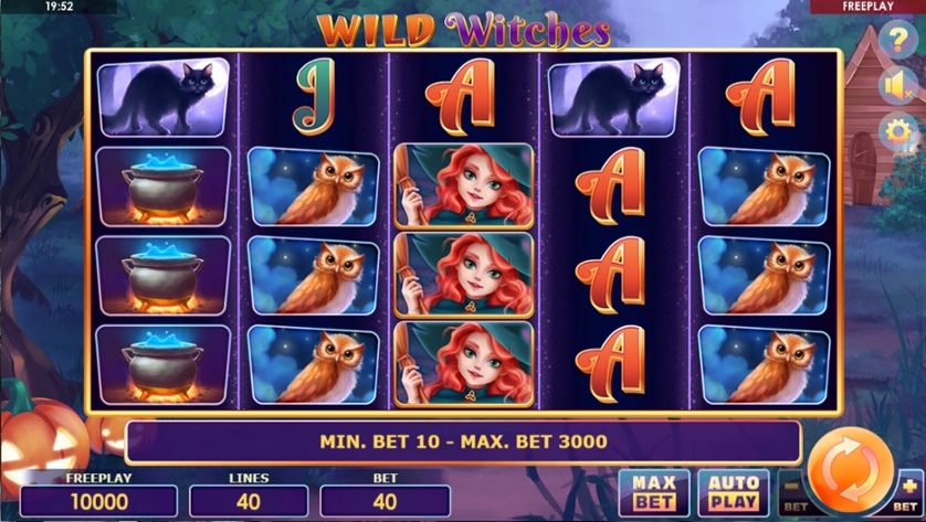 Wild Witches