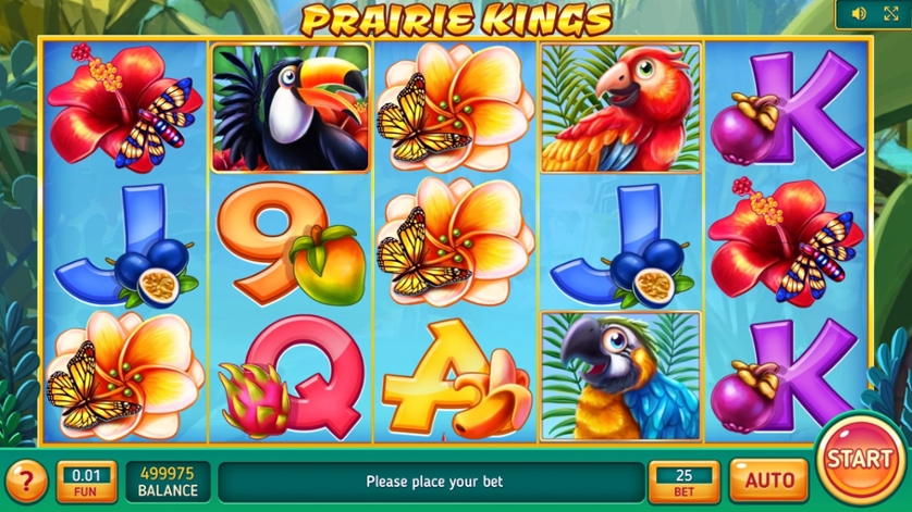 Prairie Kings