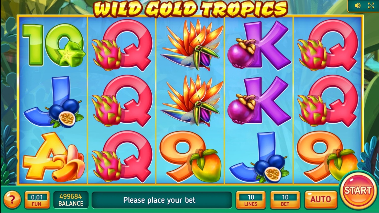 Wild Gold Tropics