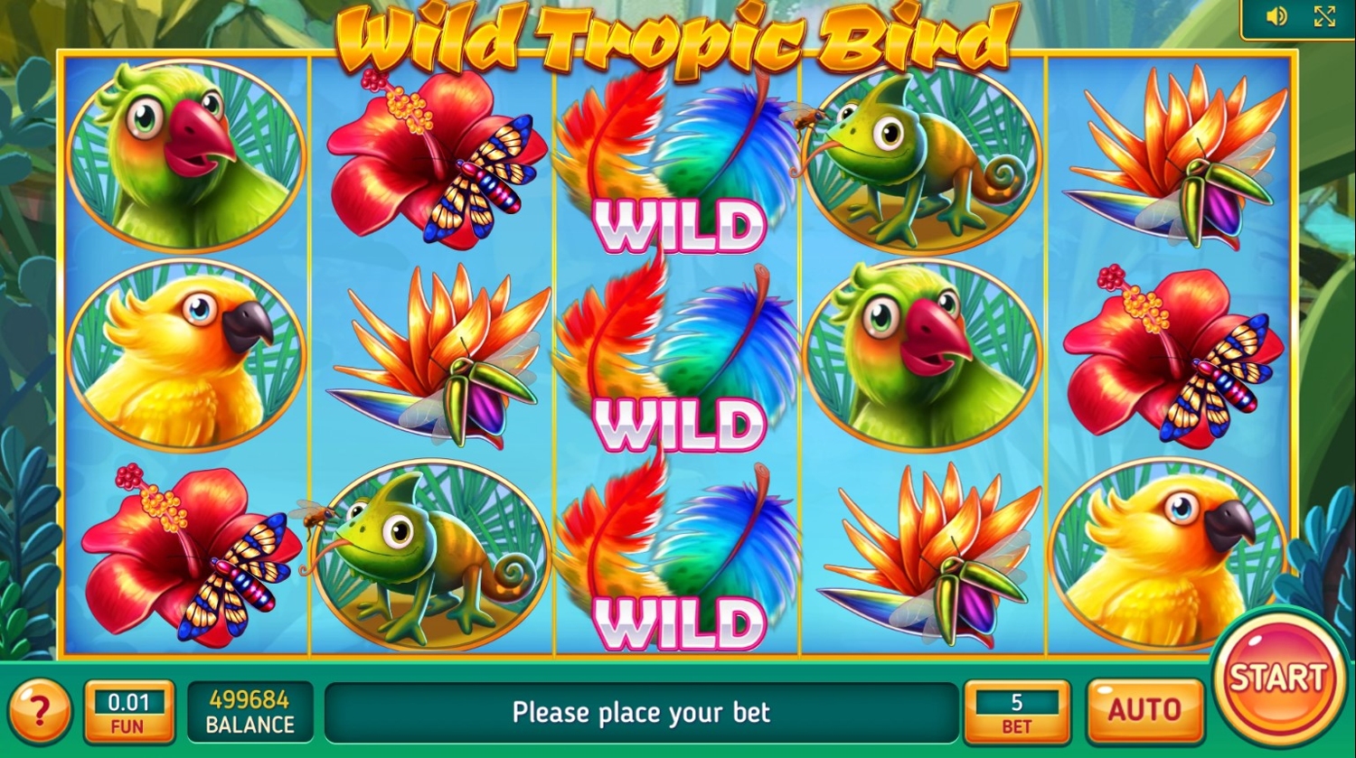 Wild Tropic Bird