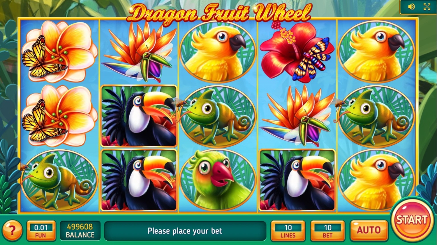 Dragon Fruit Wheel