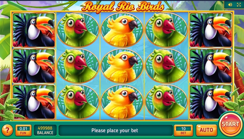 Royal Rio Birds