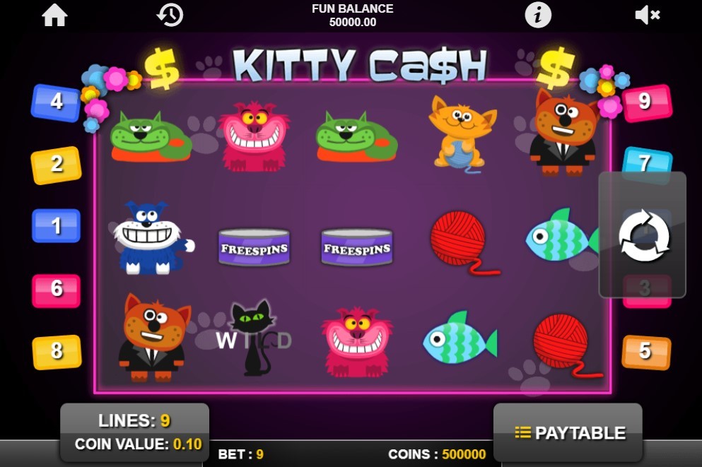 Kitty Cash