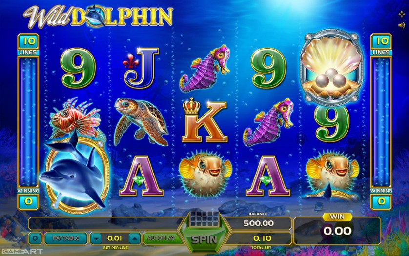 Wild Dolphin