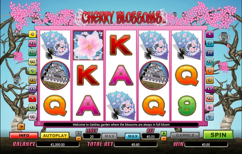 Cherry Blossom