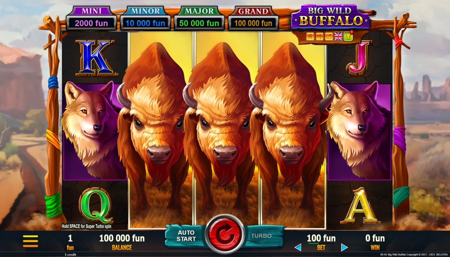 Big Wild Buffalo