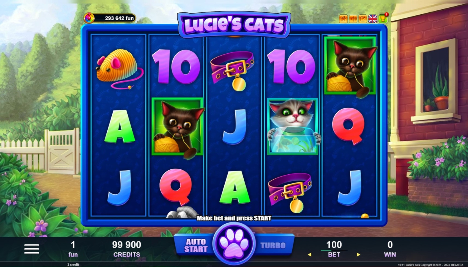 Lucie's Cats