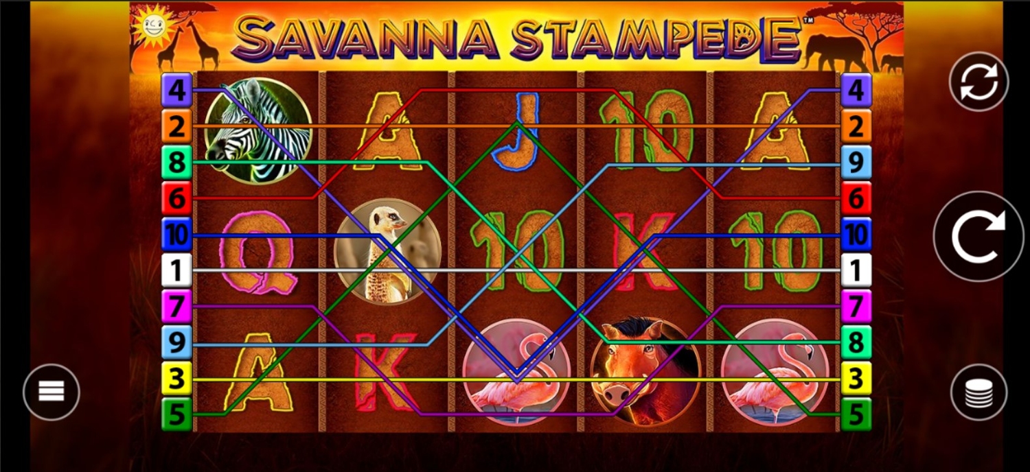 Savanna Stampede