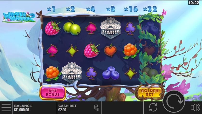 Winter Berries 2