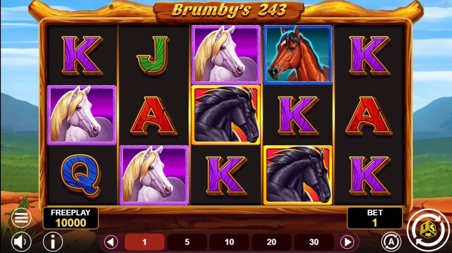 Brumby's 243
