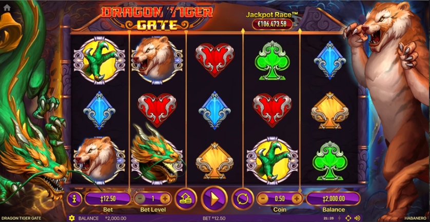 Dragon Tiger Gate