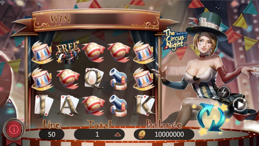 The Circus Night