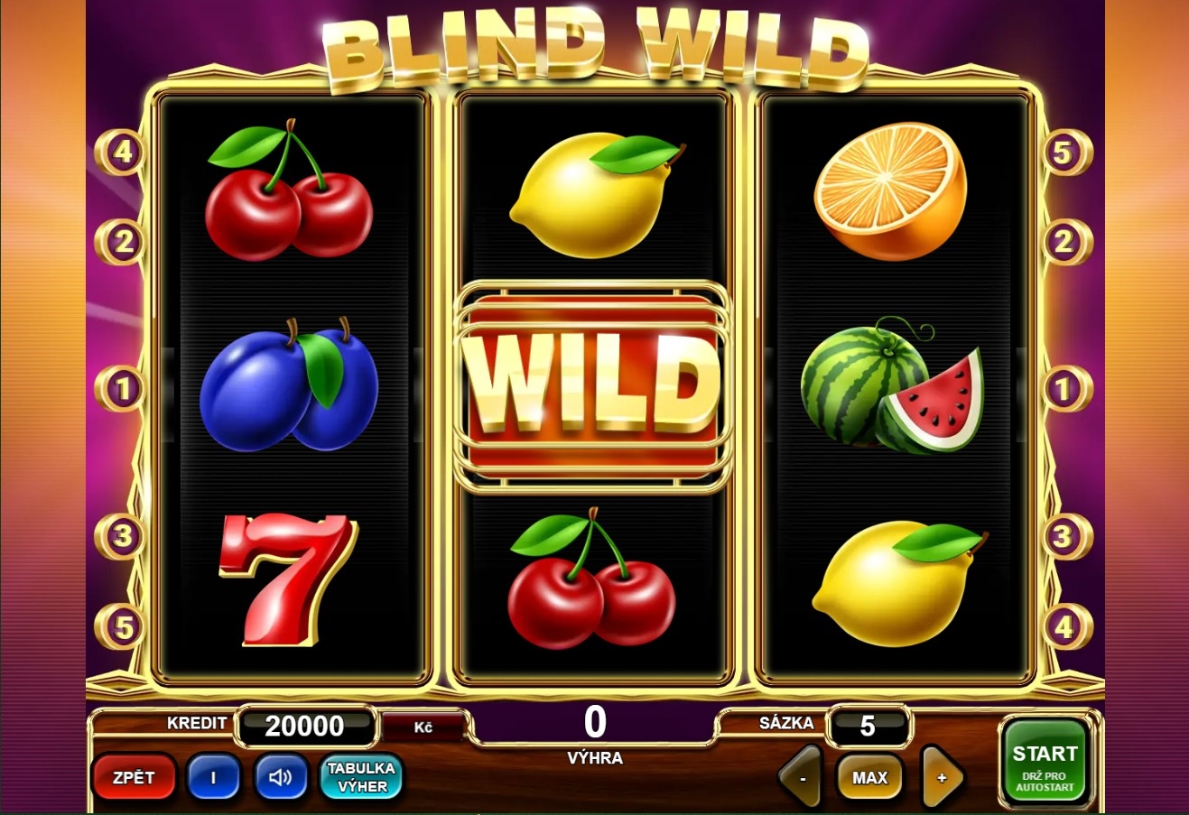 Blind Wild