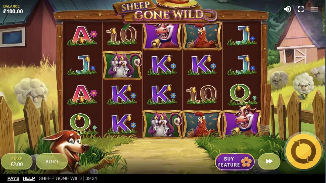 Sheep Gone Wild