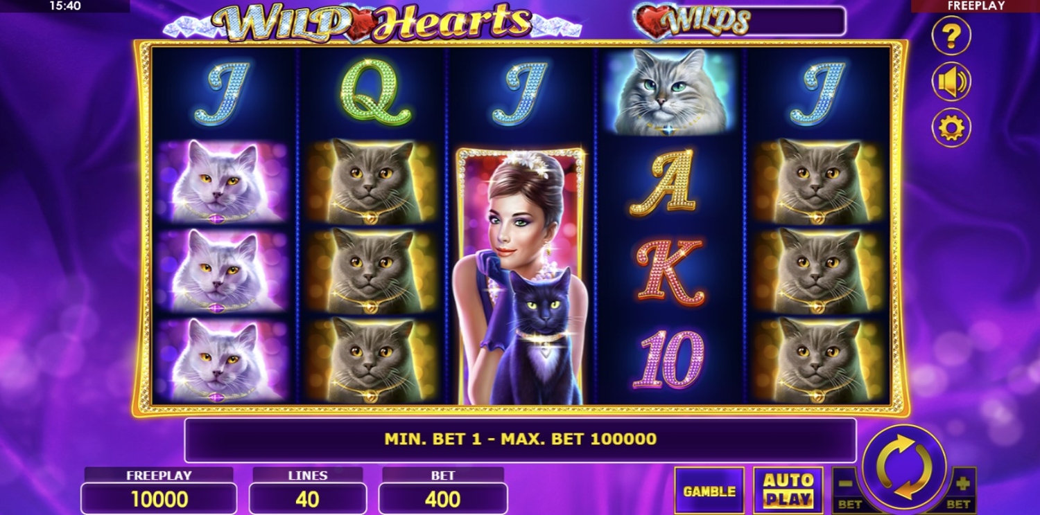 Wild Hearts