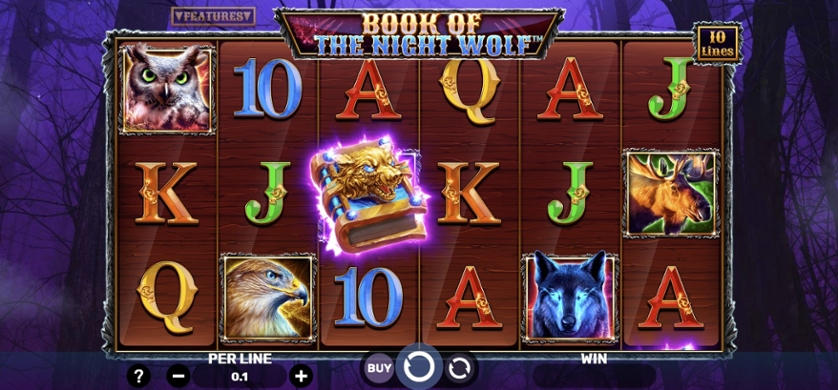 Book of the Night Wolf