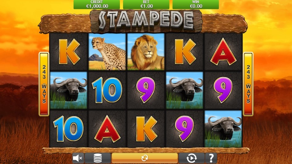 Stampede