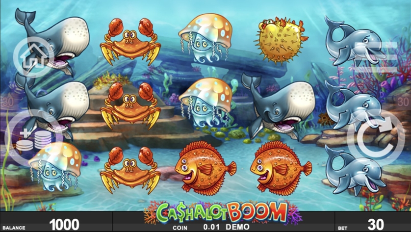 Cashalot Boom