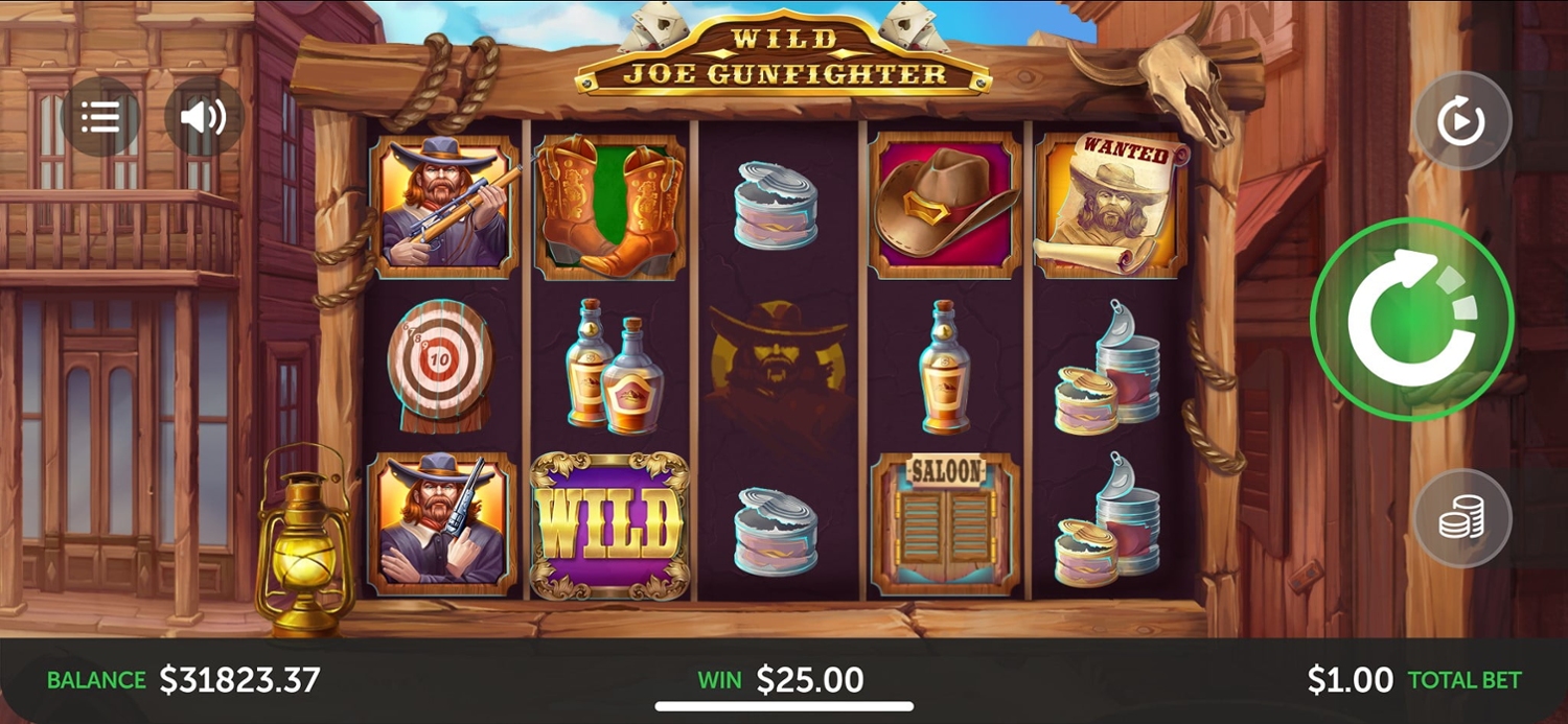 Wild Joe Gunfighter