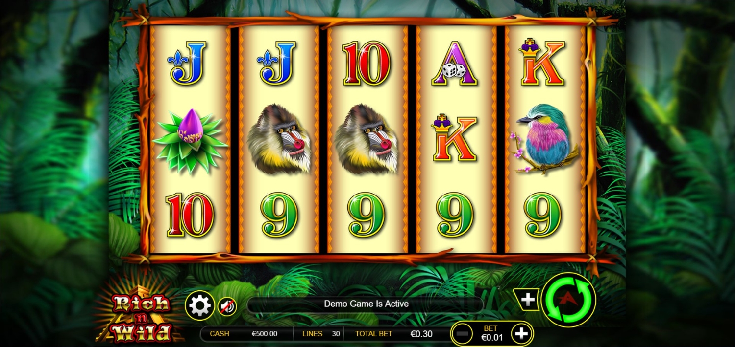 Rich N Wild