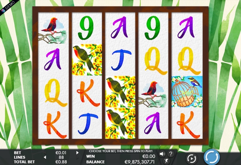 Birds