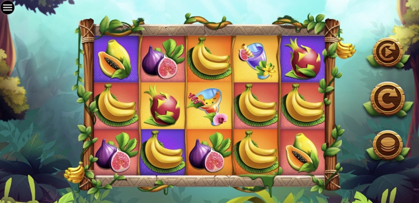 Jungle Rainbow Bonanza