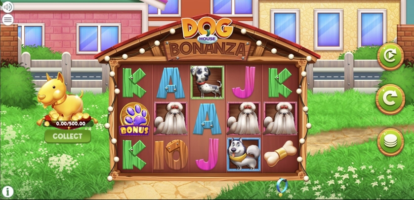 Dog House Bonanza