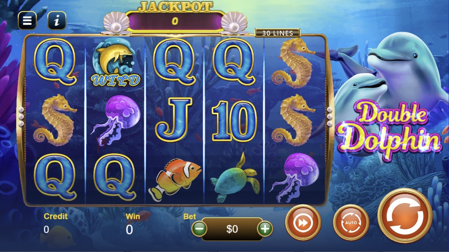 Double Dolphin Jackpot