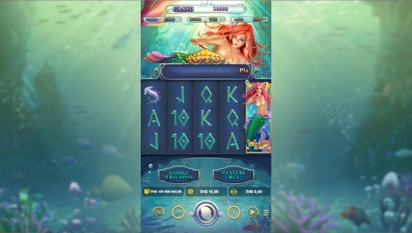 Mermaid's Treasure