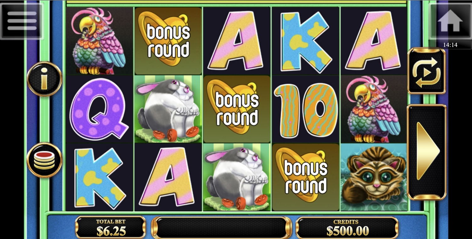Lucky Pets